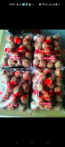 Baso nusantara