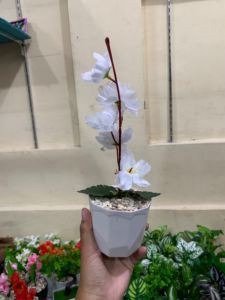 BUNGA HIAS SAKURA ARTIFICIAL PUTIH
