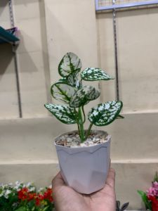 BUNGA HIAS ARTIFICIAL