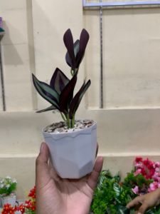 BUNGA HIAL ARTIFICIAL