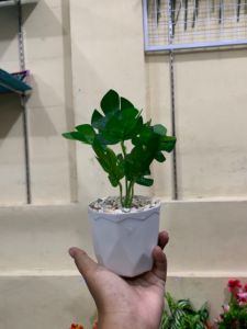 BUNGA HIAS ARTIFICIAL