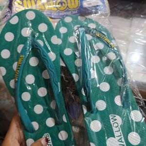 sandal swallow