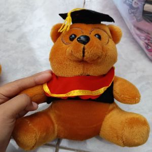 Boneka Wisuda