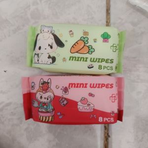Mini Wipes