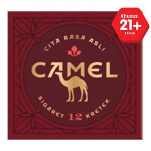 CAMEL KRETEK 12