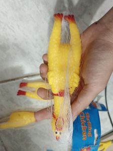 Koin Ayam Kecil