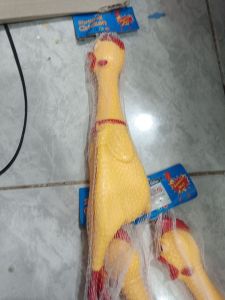 Koin Ayam Besar