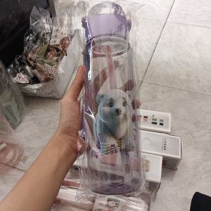 Botol Minum Anak Karakter 
