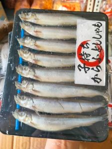Ikan shisamo