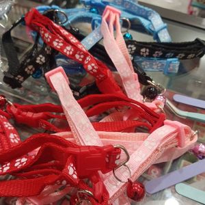 Kalung Kucing