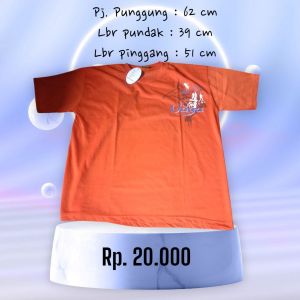 Baju kaos lengannlendek Fianly