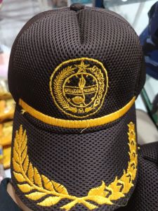 Topi