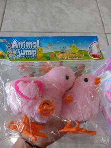 Ayam Bulu 2in1
