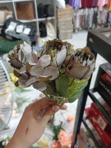 Bunga Camelia Cabang 5 Abu