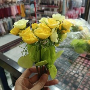 Rose Mini Clasic Cabang 7