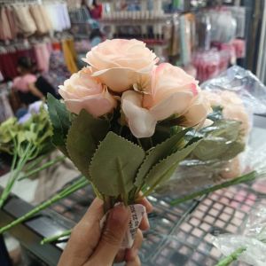 Mawar Rose Sky Cabang 5