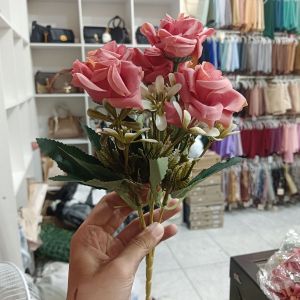 Rose Segi Cabang 5