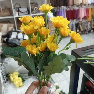 Bunga Daisy Monstera