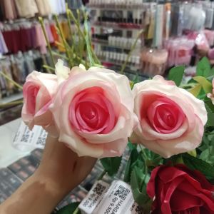 Rose Bludru Panjang