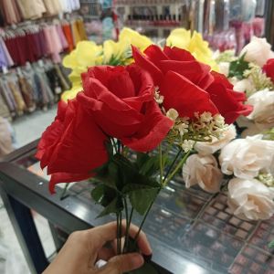 Rose Tropis Cabang 5 Merah