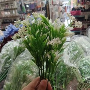 Rumput Hias Nanas Menik