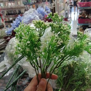 Daun Seledri Cabang 5