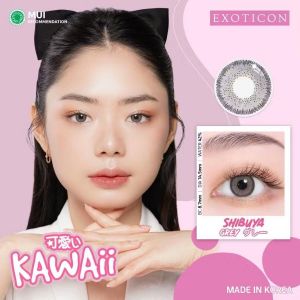 Kawaii Softlens Normal By Exoticon - Shibuya Grey - 14.5mm 