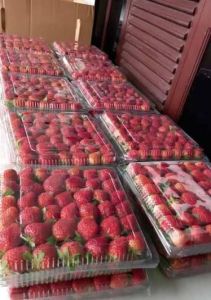 Strawberry 1kg