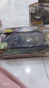Crocodile