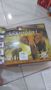 Elephant