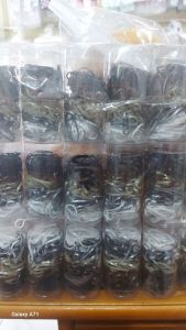 Karet tabung