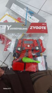 Zygote