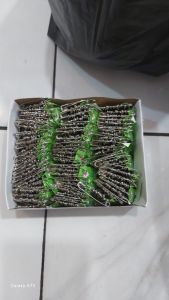 Peniti