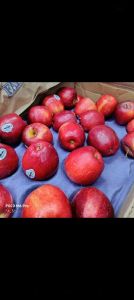 Apel merah premium