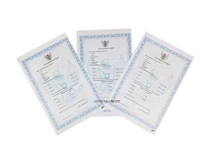 Daftar Riwayat Hidup