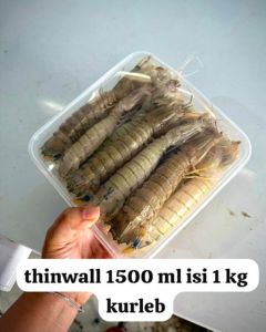 udang ronggeng