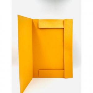 MAP BIOLA BIASA WARNA ORANGE