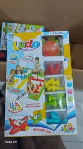 Ludo giant game