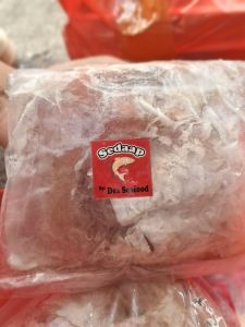Kakap filet plastik