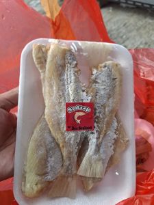 Ikan asin swim
