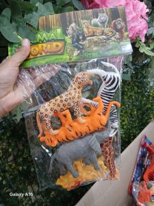 Animal World 