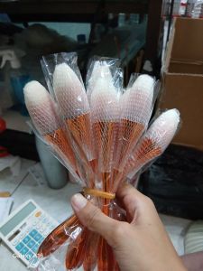 Brush Make Up