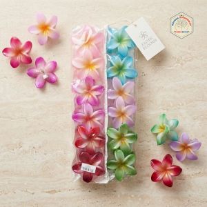 Jepit Kamboja Mix Warna - T22510CT