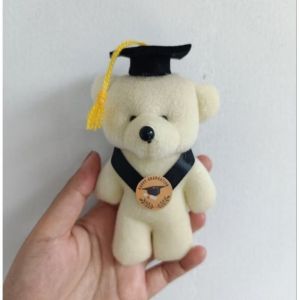 Boneka Wisuda Mini