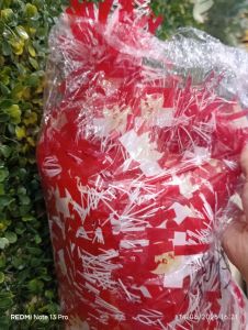 Slanger Merah Putih - Bendera Garuda