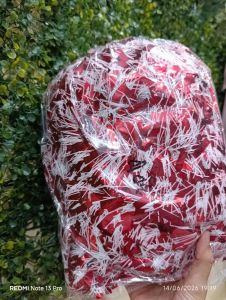 Slanger Merah Mutih