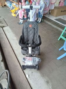 Stroller RYDER S-1688