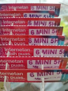 V. Tri 8 GB 3 Hari 