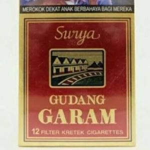 SURYA 12