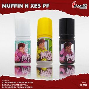 Muffin Saltnik Varian